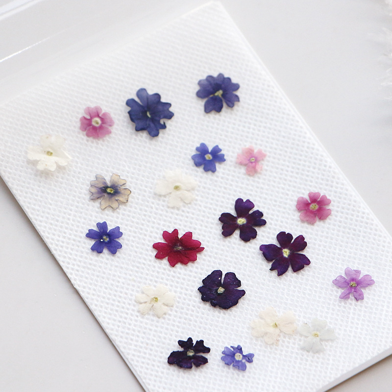 40 pçs/lote, mini beleza cerej - Photo Frame Baby avaliação e preço