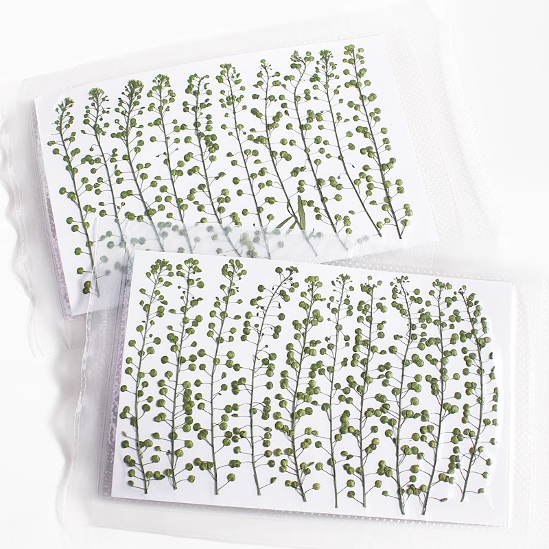 Cor natural verde sino grama p - Photo Frame Baby avaliação e preço