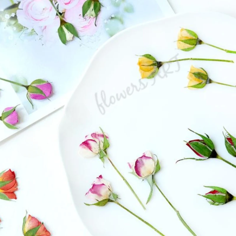 Pétalas de Rosa Prensadas, Flo - Photo Frame Baby avaliação e preço