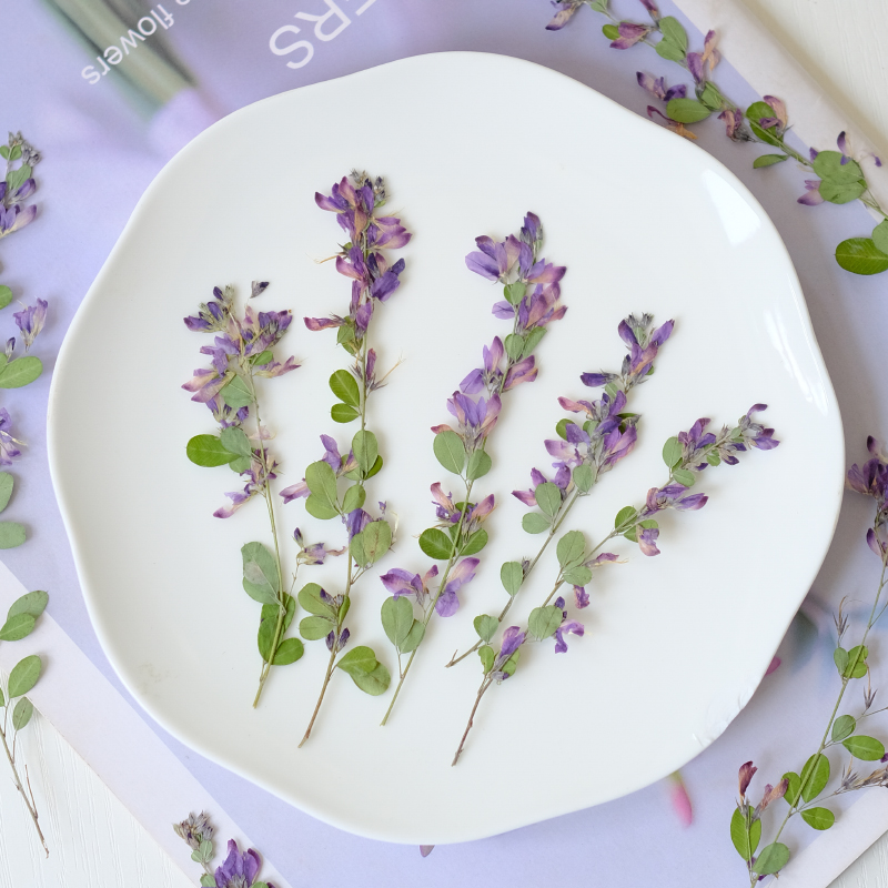 6 peças, Flores Secas Naturais - Photo Frame Baby avaliação e preço