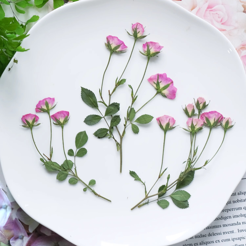 12 peças, Mini Rosas Cor-de-Ro - Photo Frame Baby avaliação e preço