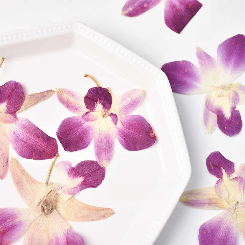4 peças, Flores de Orquídea Bo - Photo Frame Baby avaliação e preço