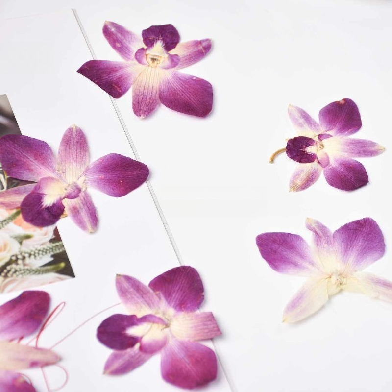 4 peças, Flores de Orquídea Bo - Photo Frame Baby avaliação e preço