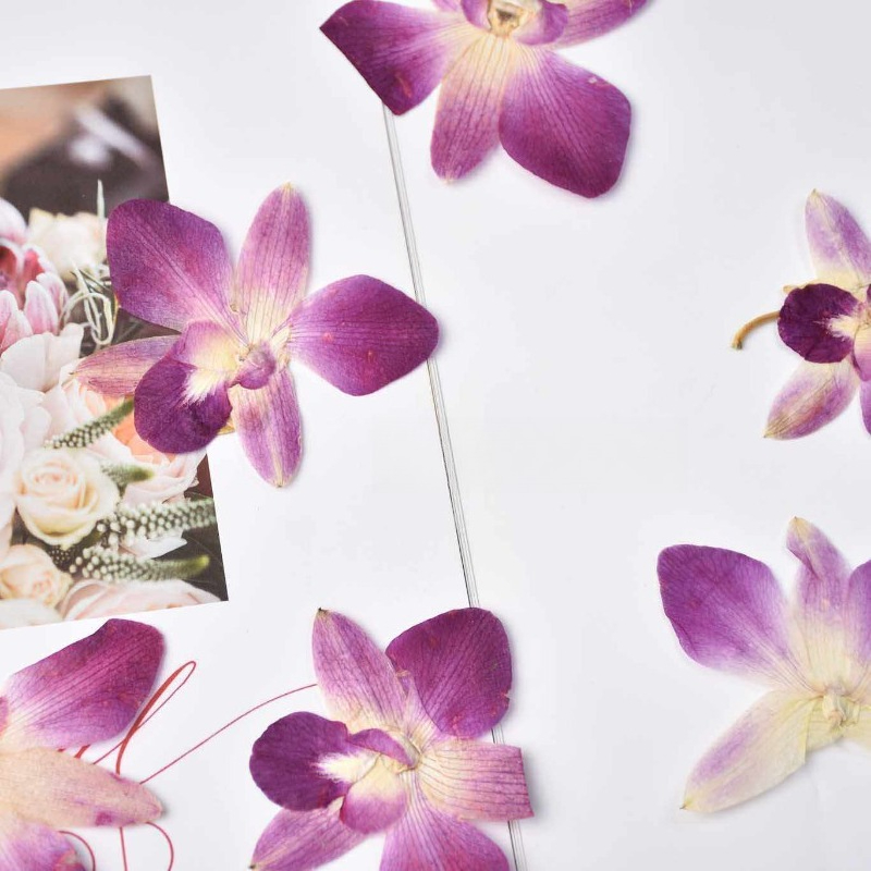 4 peças, Flores de Orquídea Bo - Photo Frame Baby avaliação e preço