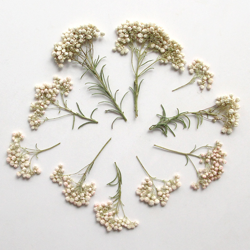 12 peças, Ramos de Flores de M - Photo Frame Baby avaliação e preço