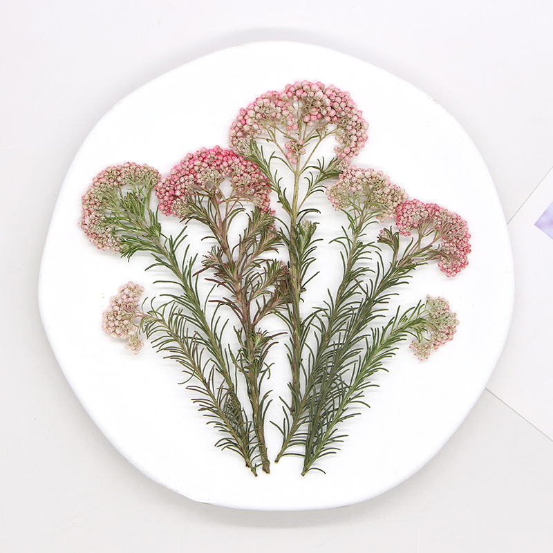 12 peças, Ramos de Flores de M - Photo Frame Baby avaliação e preço